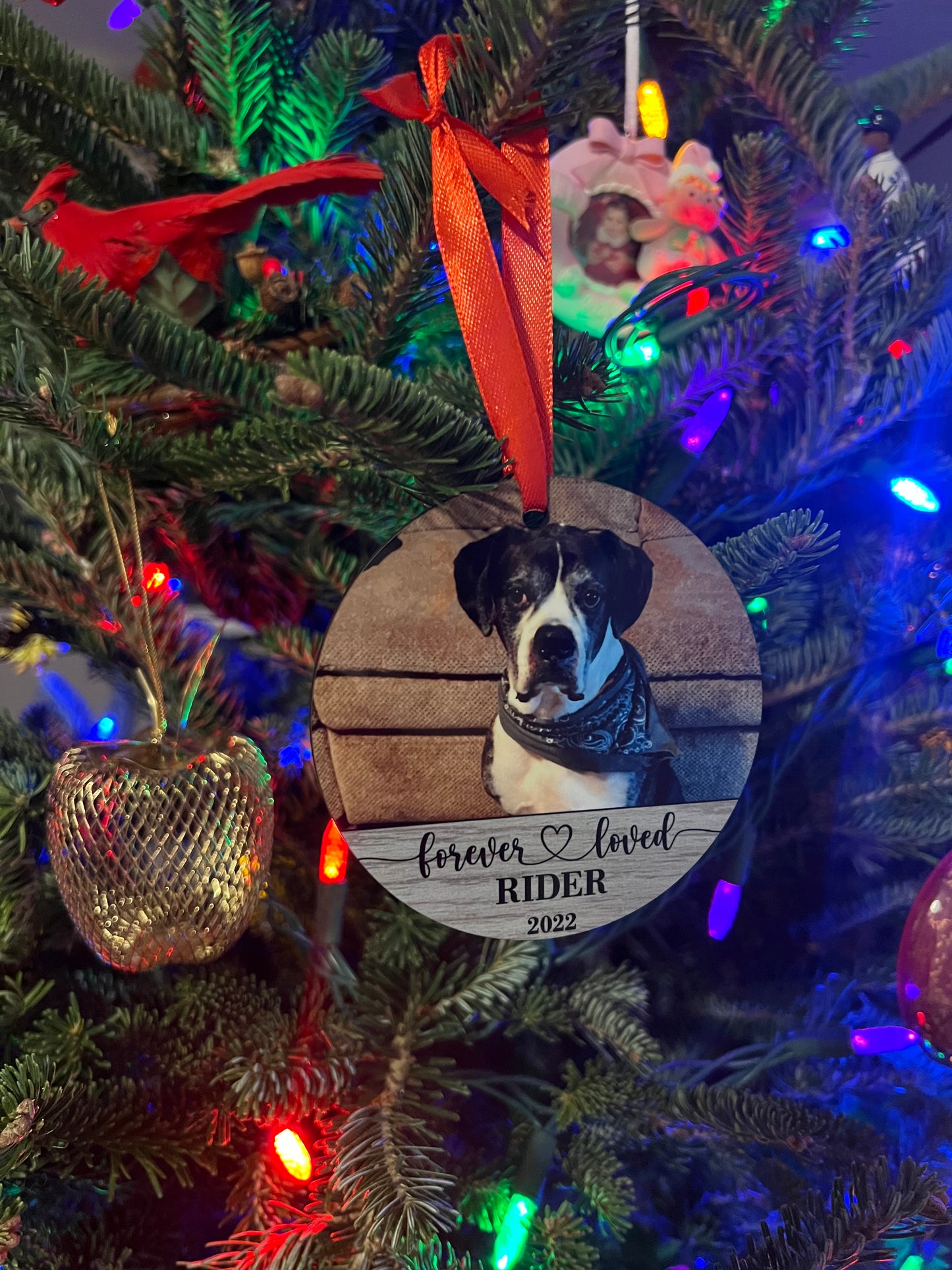 Pet memorial ornament hanging on tree