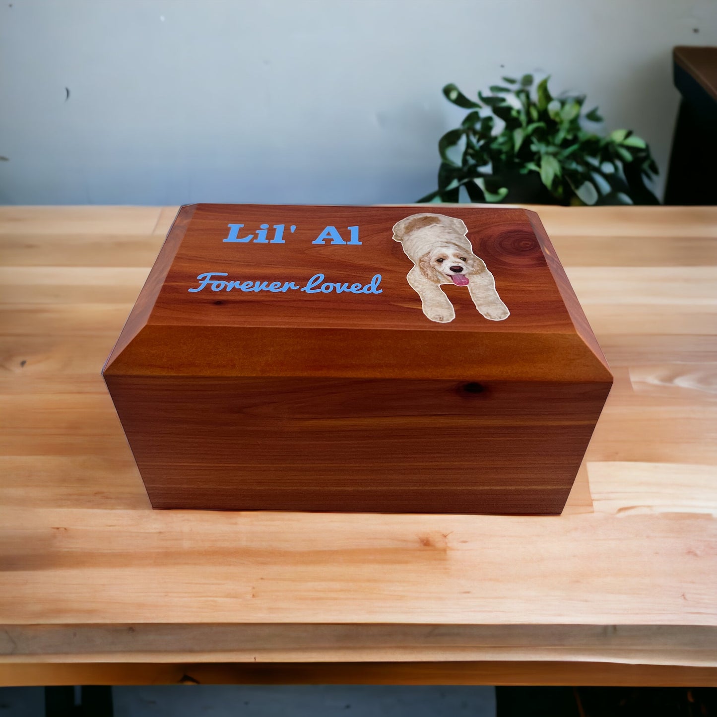 Pet Urn on Desk