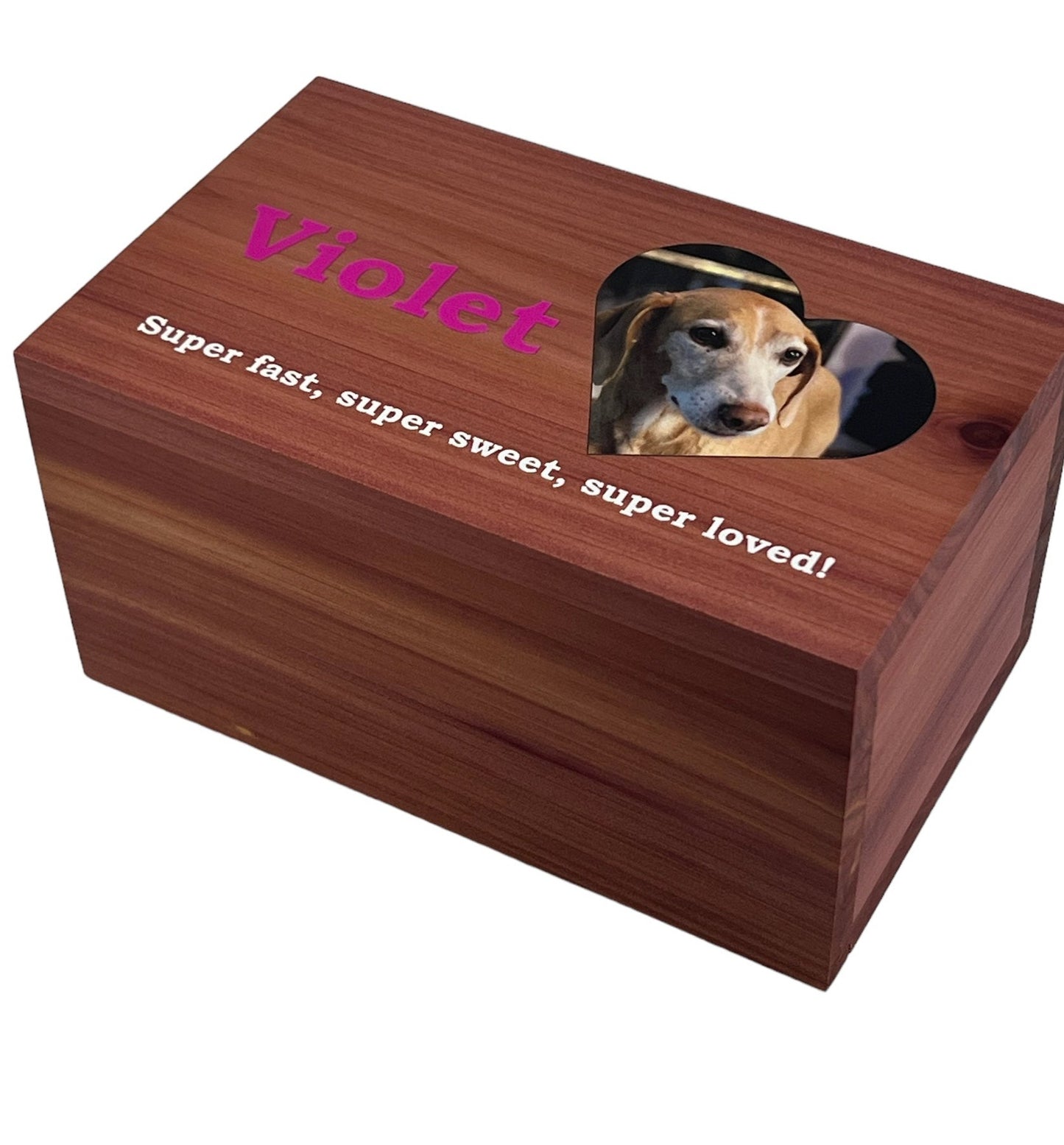 Pet Urn angled view