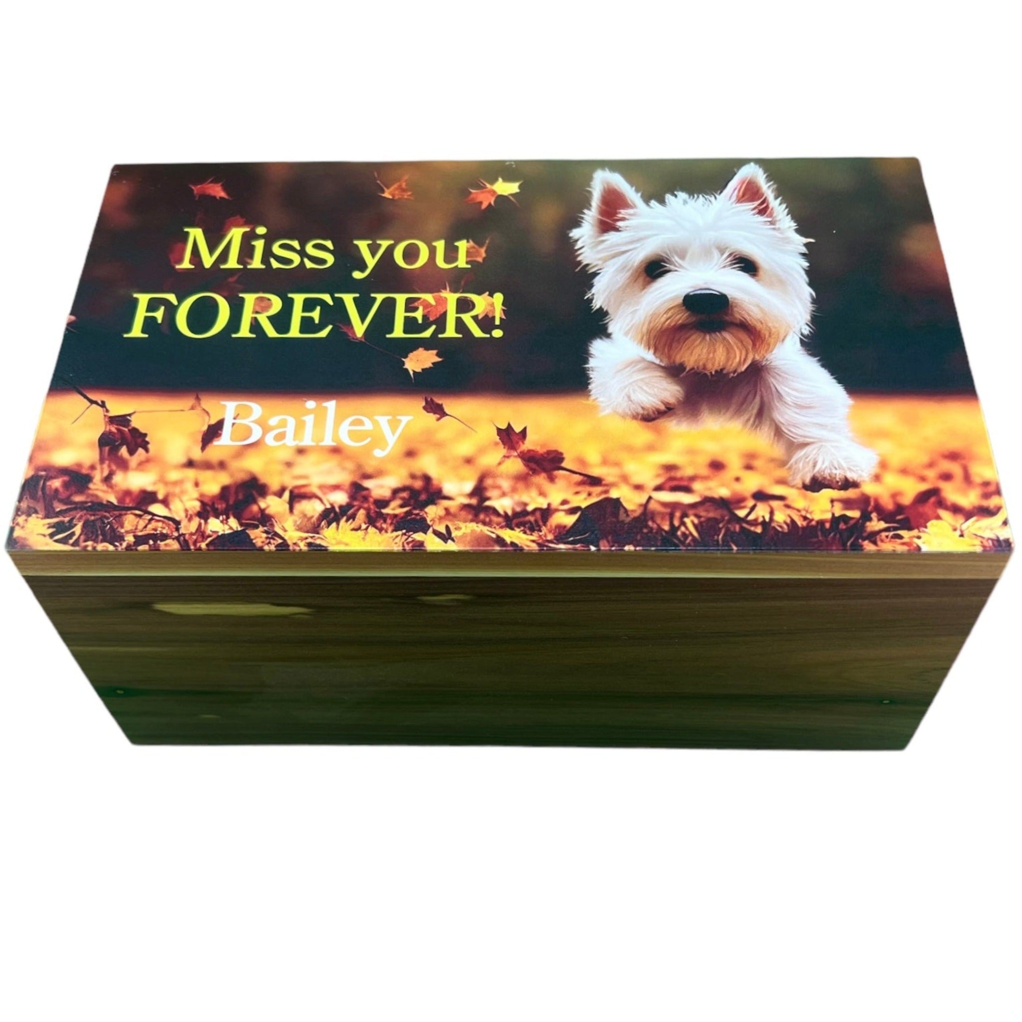 Cedar best sale pet urns